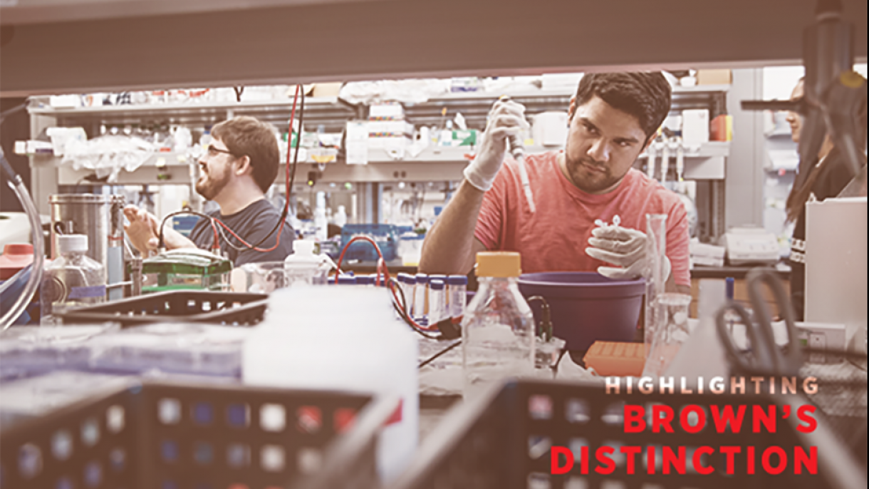 Highlighting Brown’s distinction in brain science Brown University